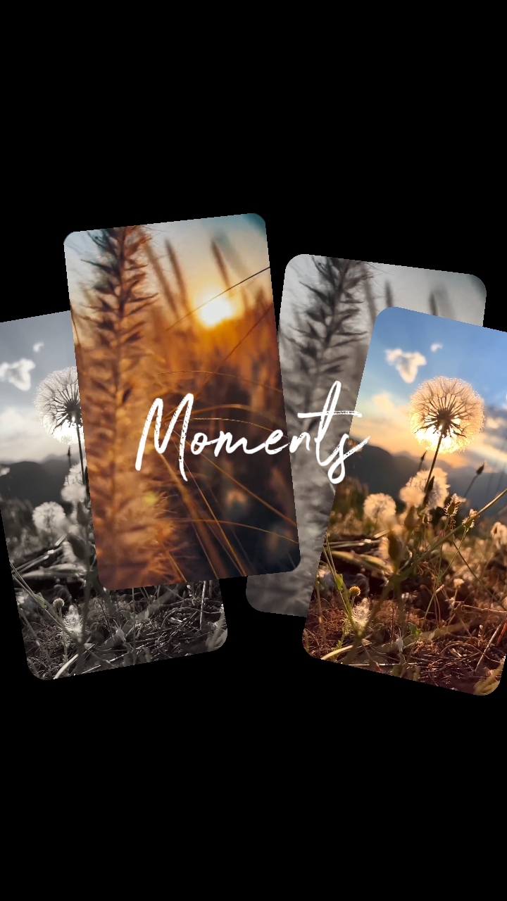 Momentos de primavera