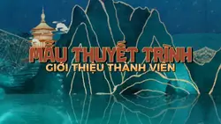 Mẫu giới thiệu