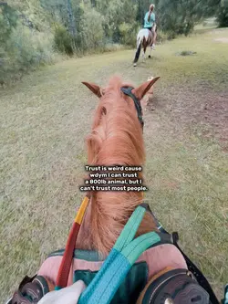 Trust