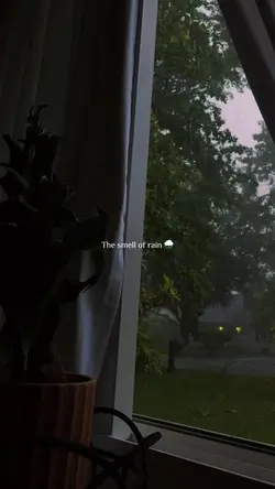 The smell of rain 🌧️