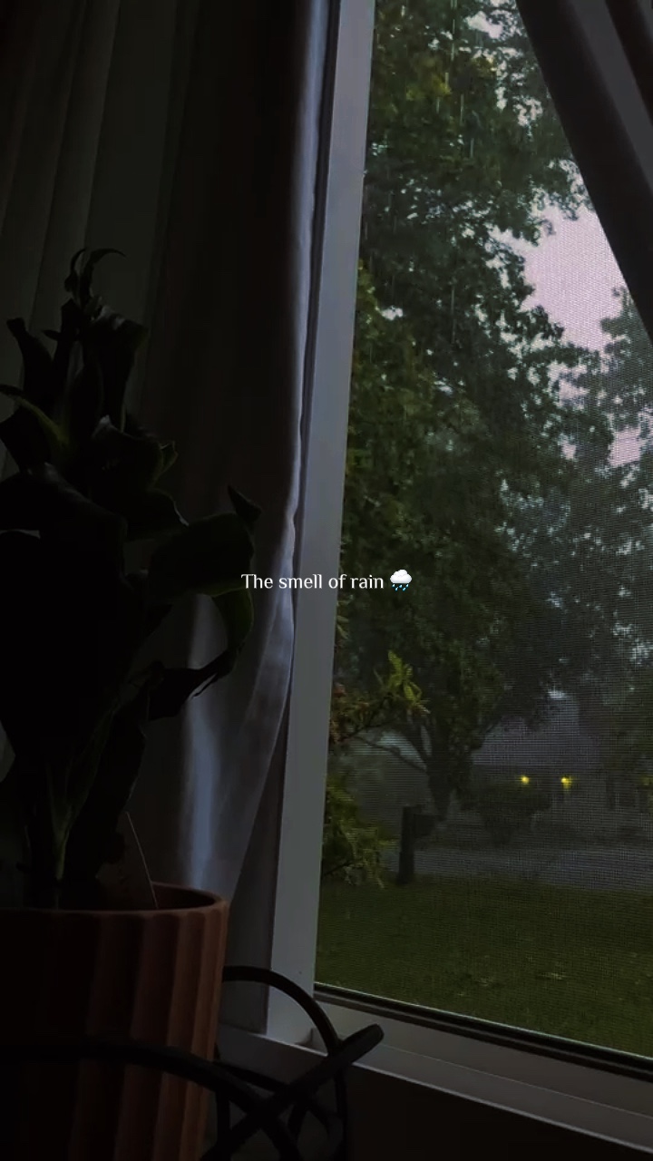 The smell of rain 🌧️