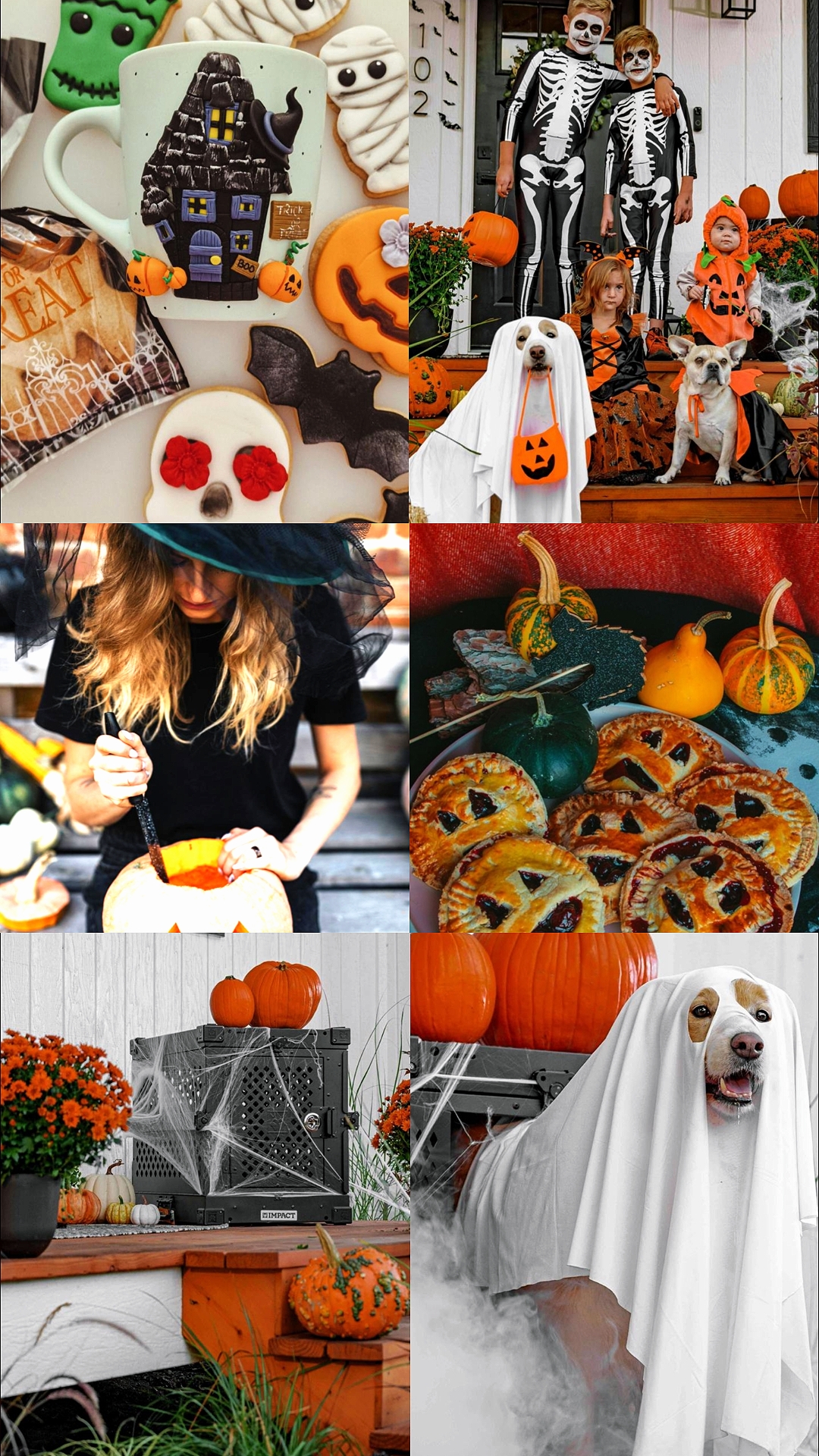 Trick or Treat