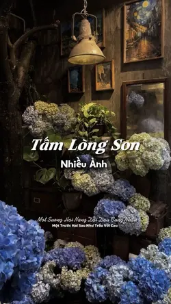 Một Tấm Lòng Son