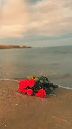 New Slowmotion 🌊✨