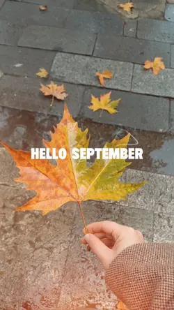 Hello Autumn