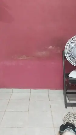 Flashback
