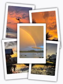 5Pic Clip Transition