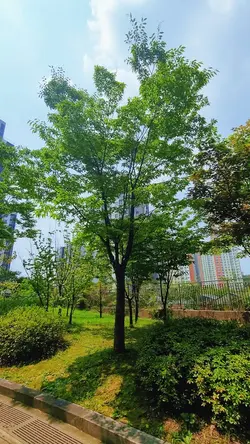 제작참여 하루명언 소스촬영