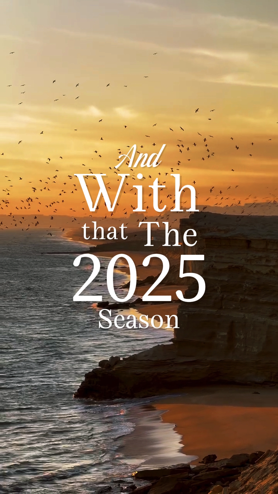 2025 x Lush Life