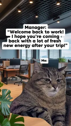 Welcome back to work