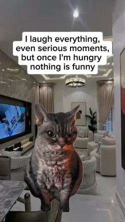 nothhing is funny