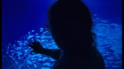 Aquarium aesthetic