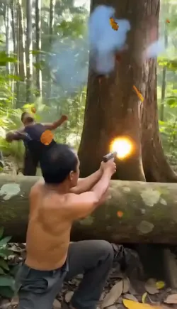 THE JUNGLE SCENE