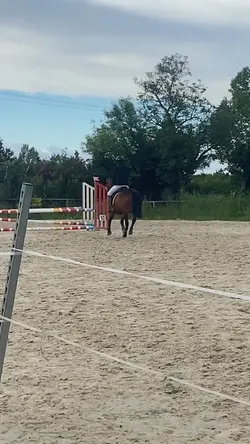 Professionnel