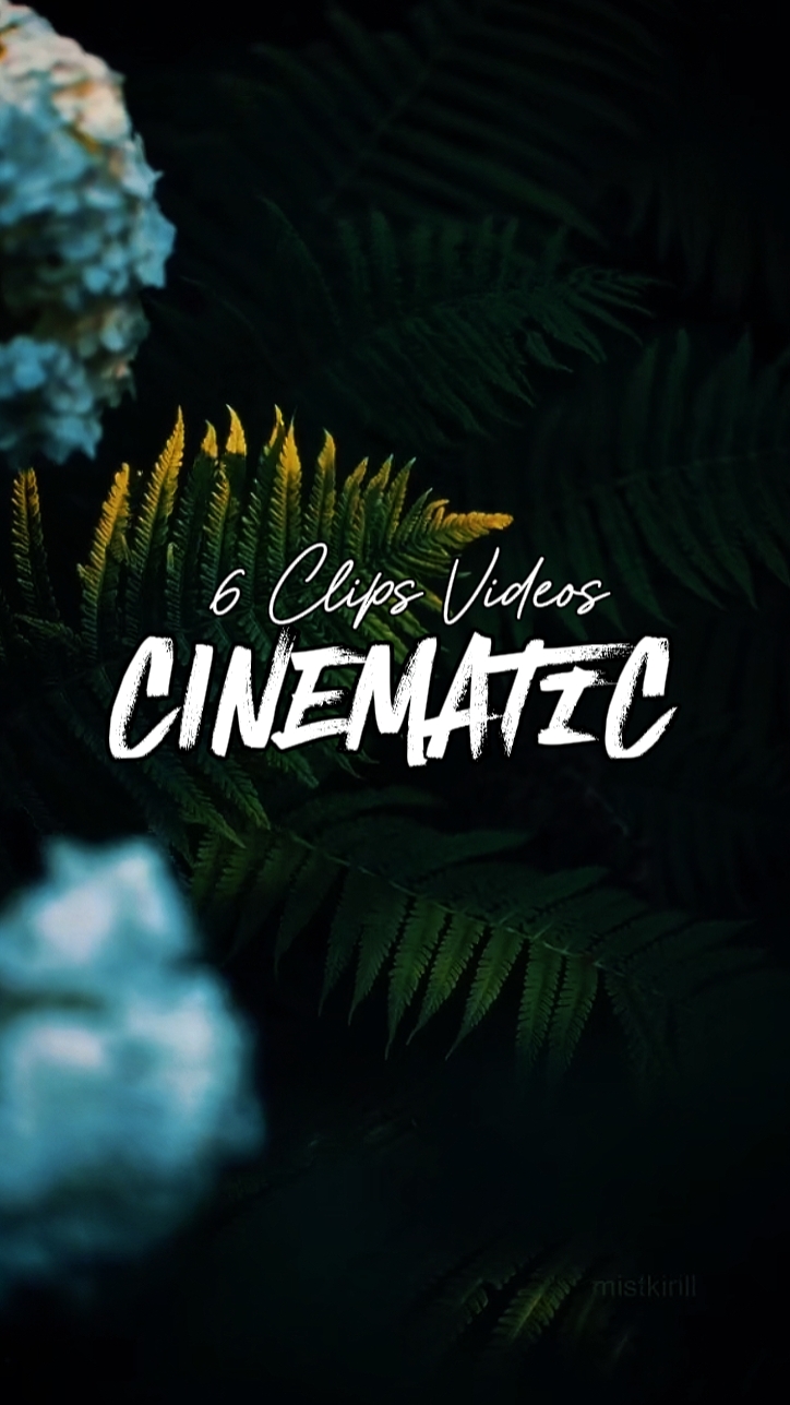 6 CLIPS CINEMATIC