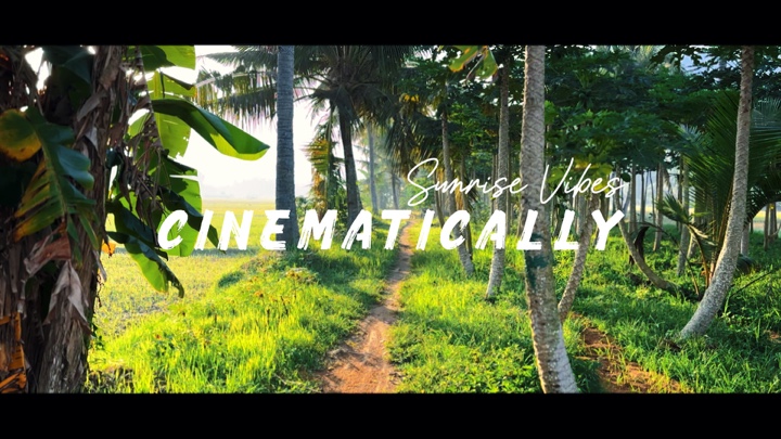 Cinematic Nature Aes (tradução)