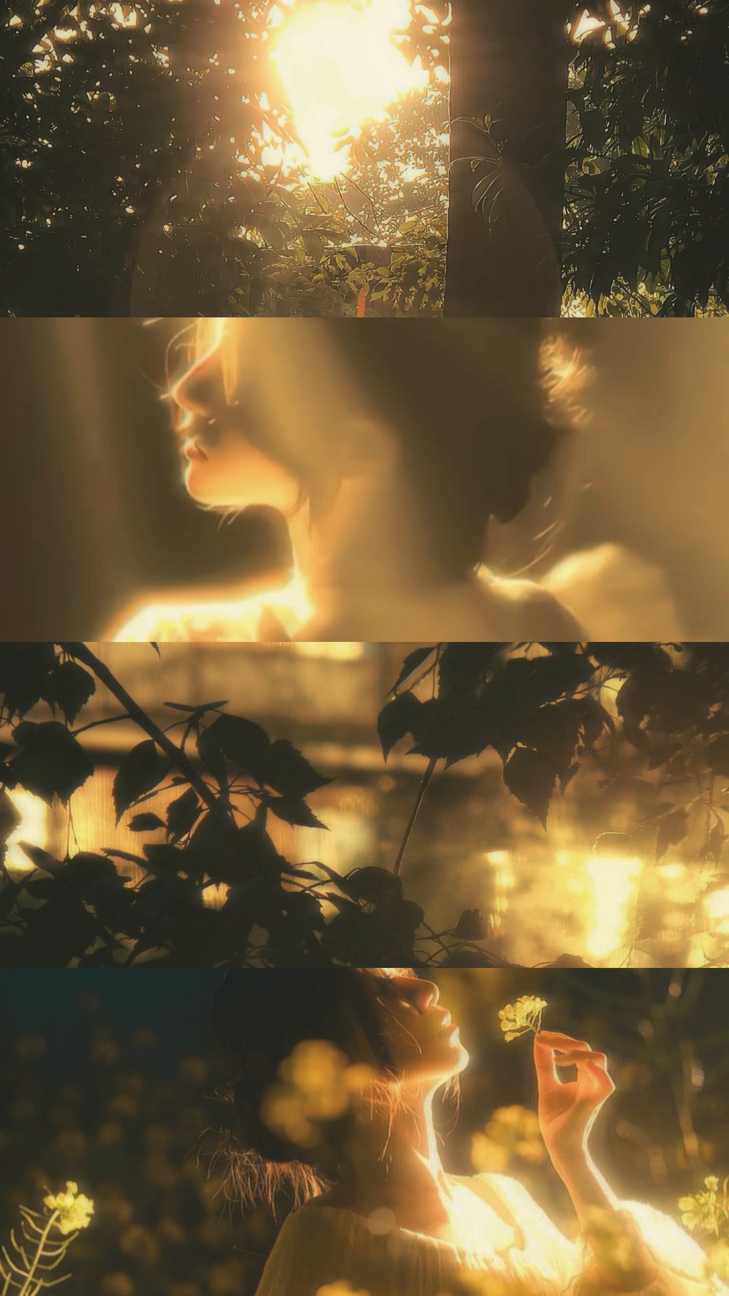 4 collage photo