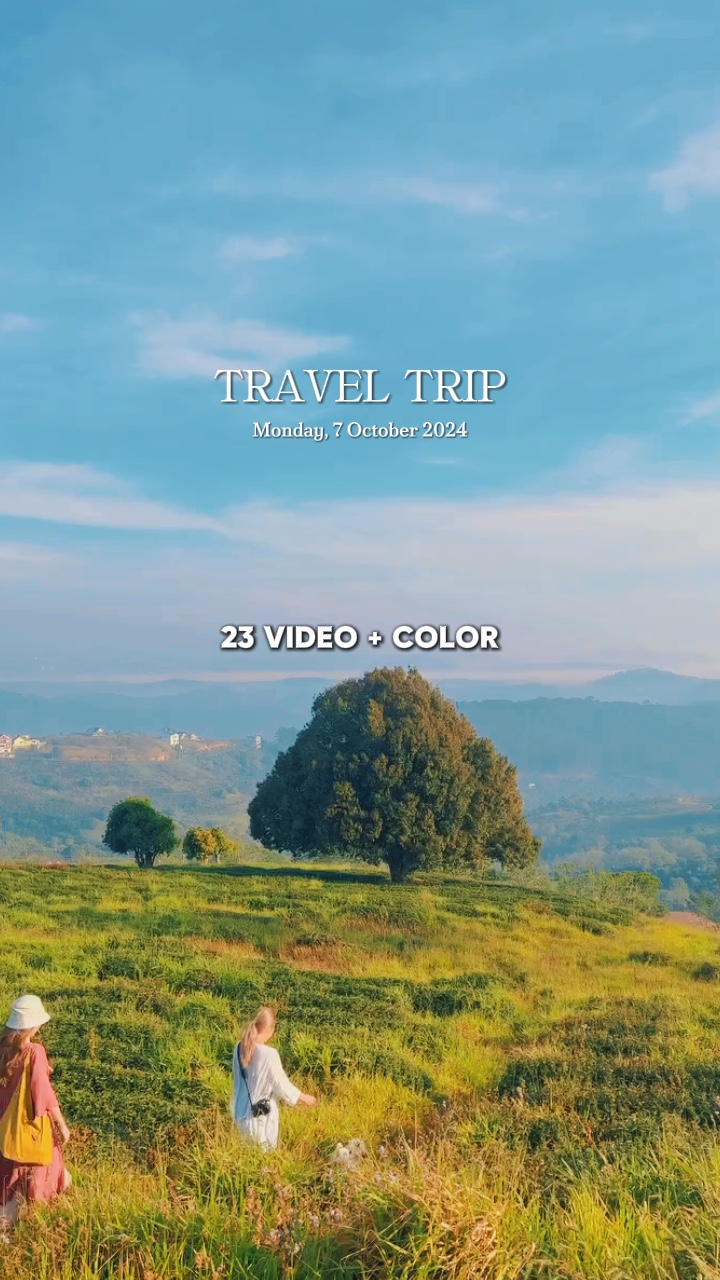 Travel trip