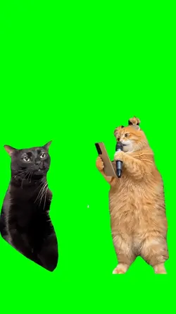 CAT SINGING BABY