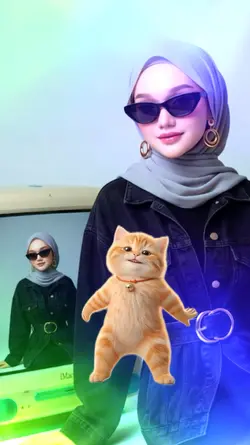 cat dance
