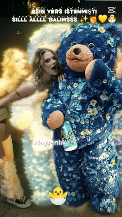 Sil alll esin