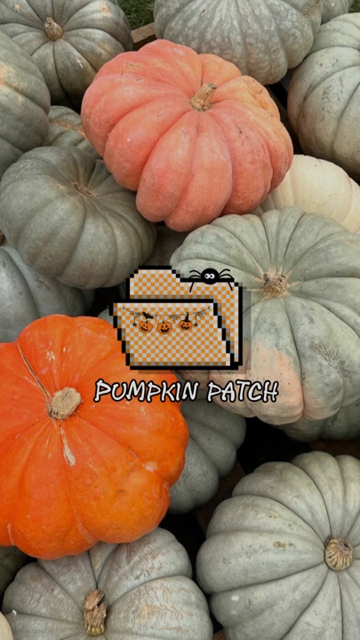Pumpkin patch recap