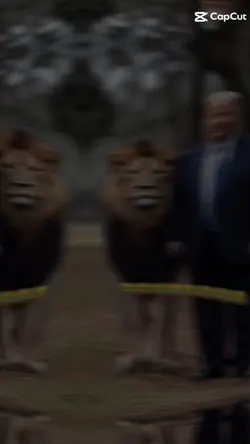 GARRA E DETERMINAÇÃO