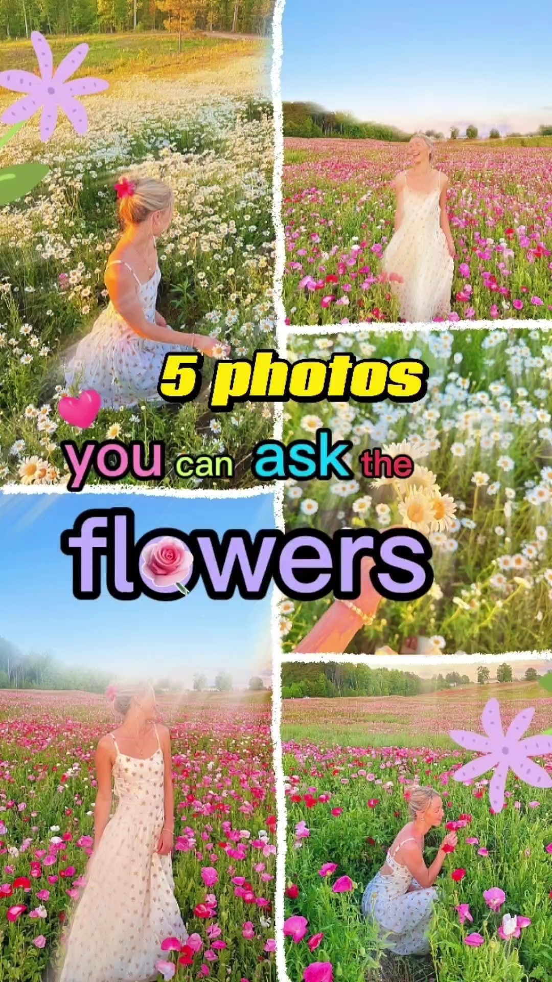 Bonita vida de flores