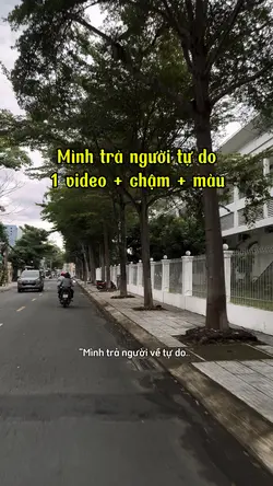 Mình trả người tự do