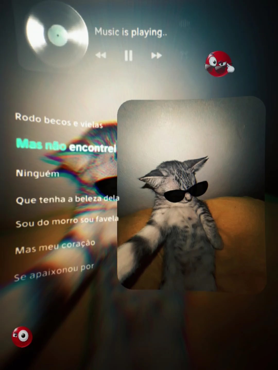NOVO MESTRE