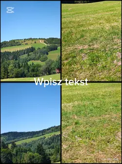 Piękny dzień 