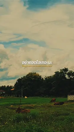 อย่าพึ่งท้อได้ไหม