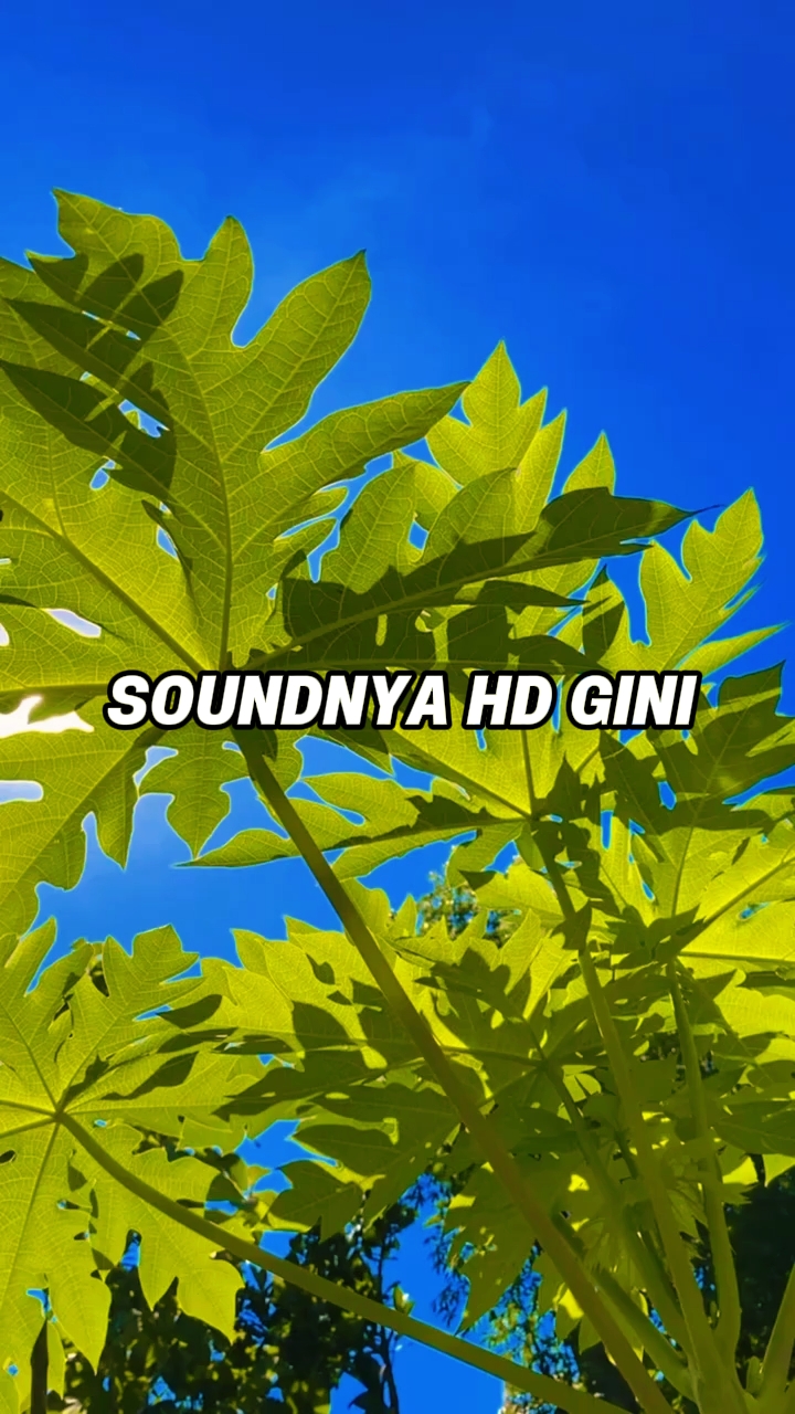 soundnya kane gini