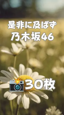 是非に及ばず 乃木坂46
