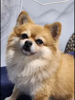 จะไปง่าว