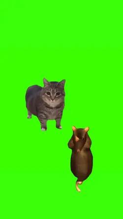 UIIAA CAT AND RAT
