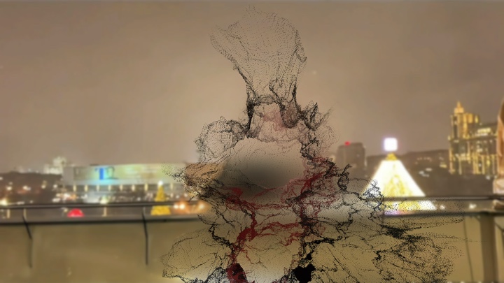 Cover Picture