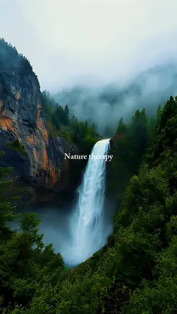nature therapy