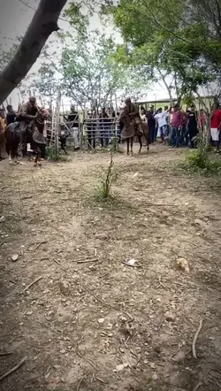 Toada Iguinho 
