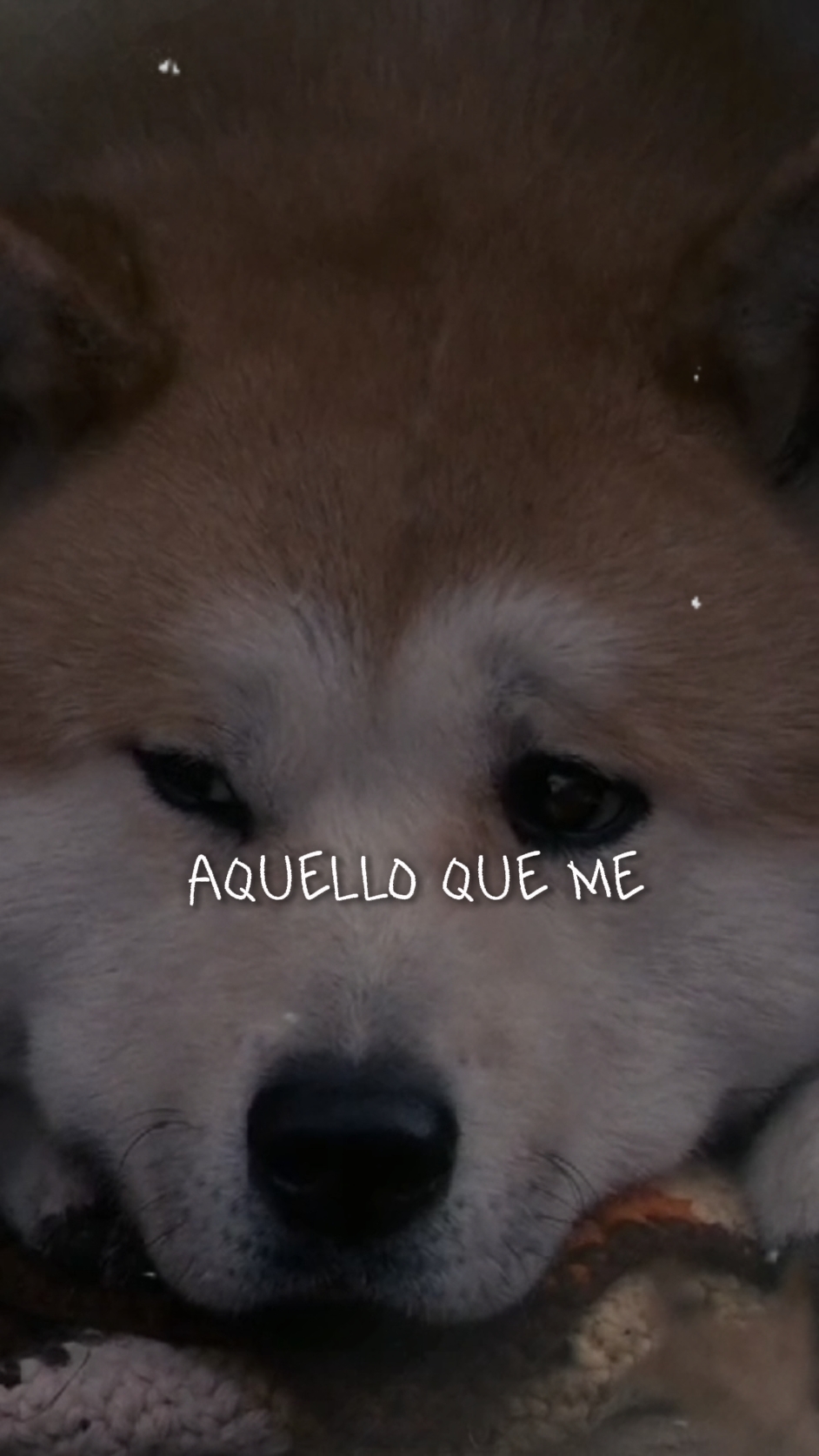 Mi Recuerdo Fav