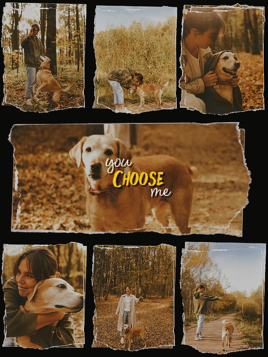 you choose me