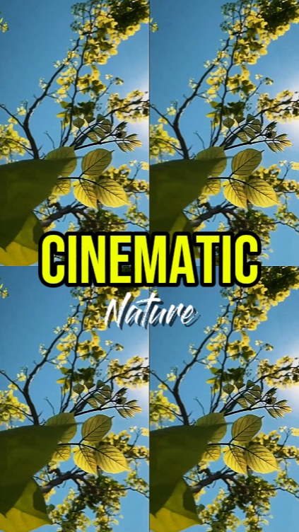 Cinemática