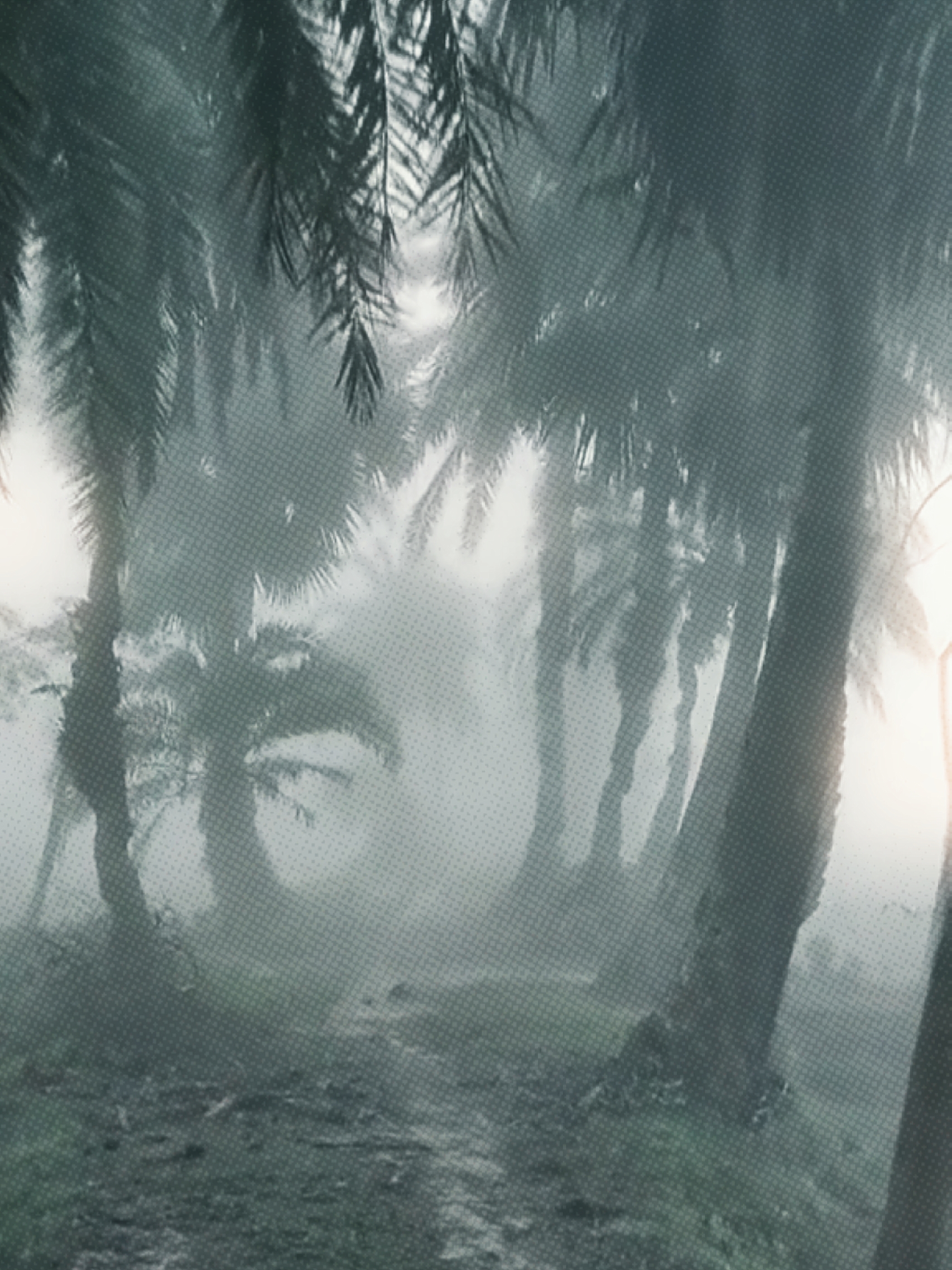 শীতের কুয়াশা জরানো 