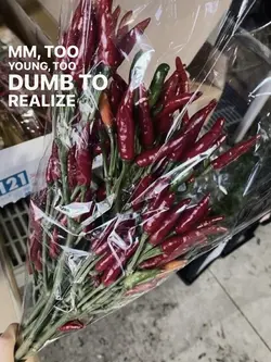 wheniwasyourman 🥀