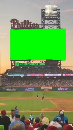 baseball screen