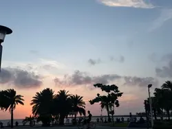1張|傷感 地球上最浪漫的一首歌