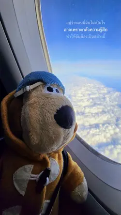 ย้ายเนื้อเพลงได้🔥