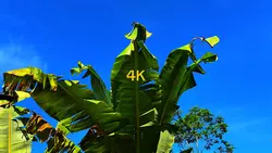 144p to 4k