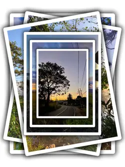 6Pic Trans Aesthetic