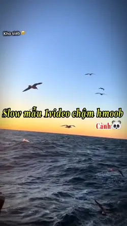 Slow 1video chậm 